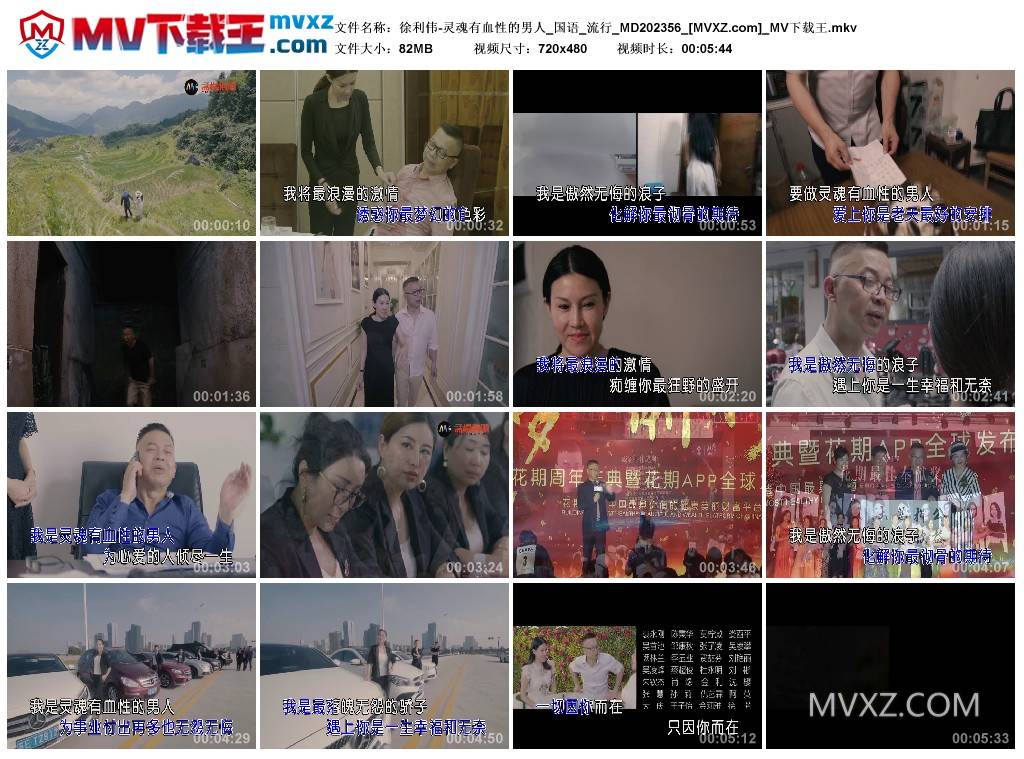 徐利伟-灵魂有血性的男人_国语_流行_MD202356